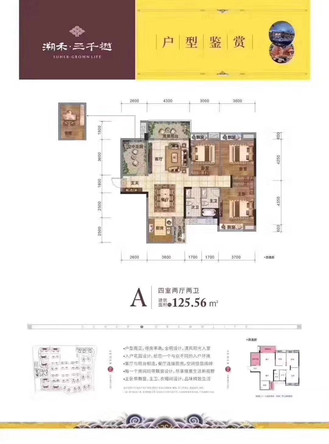A户型