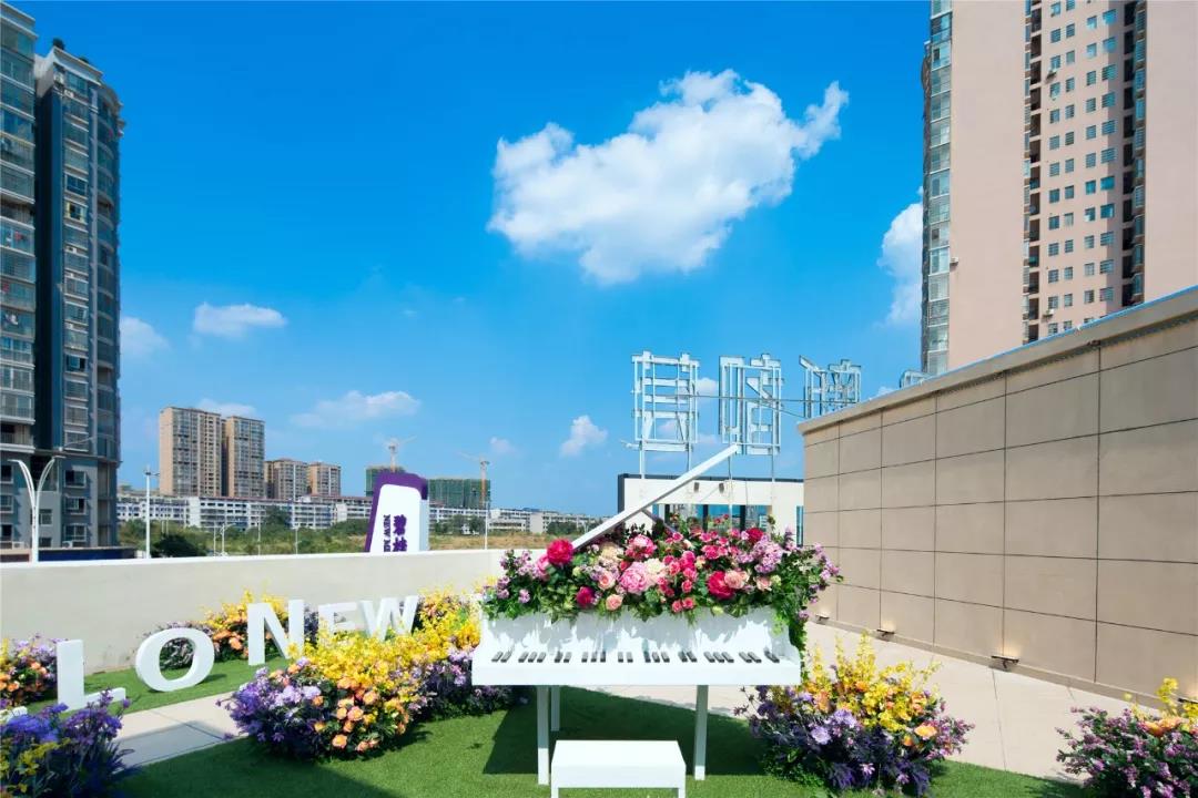 实景图 